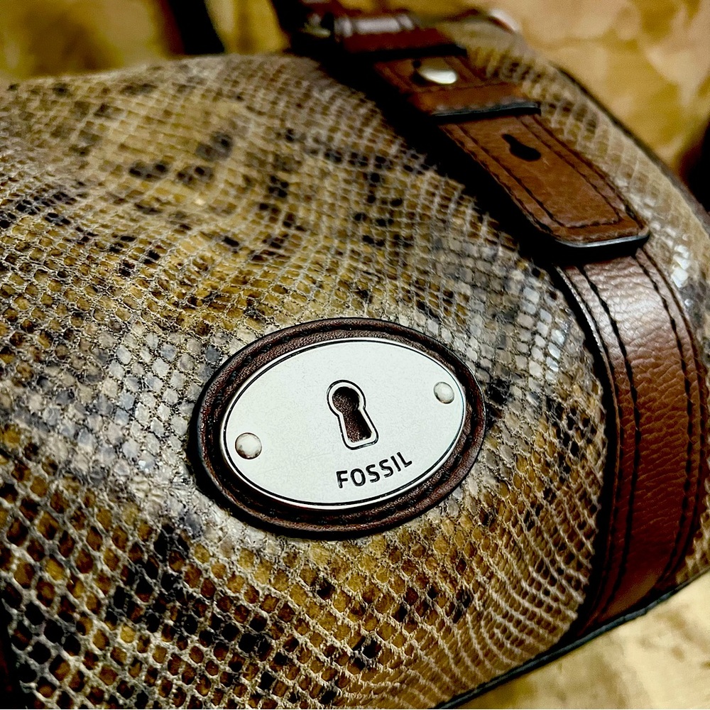 Rare Fossil Long Live Vintage Python Leather Purse, S… - Gem